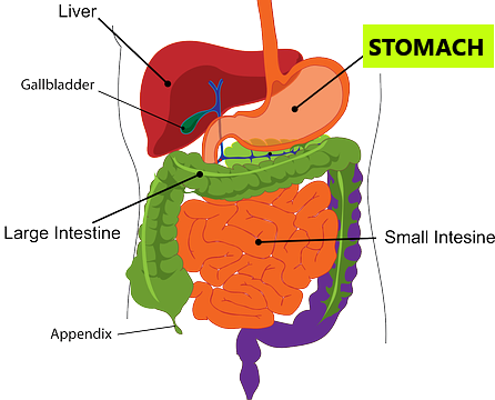  breast-cancer-facts-what-is-breast-cancer